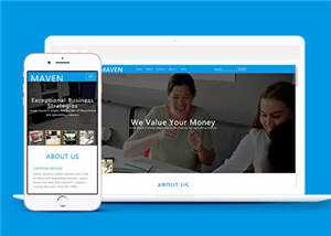 专业咨询服务展示HTML网页模板下载 - Hope`Chen资源网