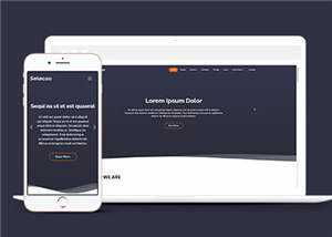 简约业务团队动态响应式网页模板 - Hope`Chen资源网