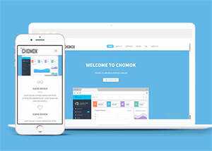 天蓝色CRM管理系统网站模板下载 - Hope`Chen资源网
