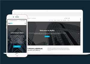 商务代理项目服务响应式网页模板 - Hope`Chen资源网