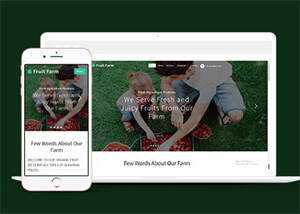 新鲜农产品类公司网站模板下载 - Hope`Chen资源网