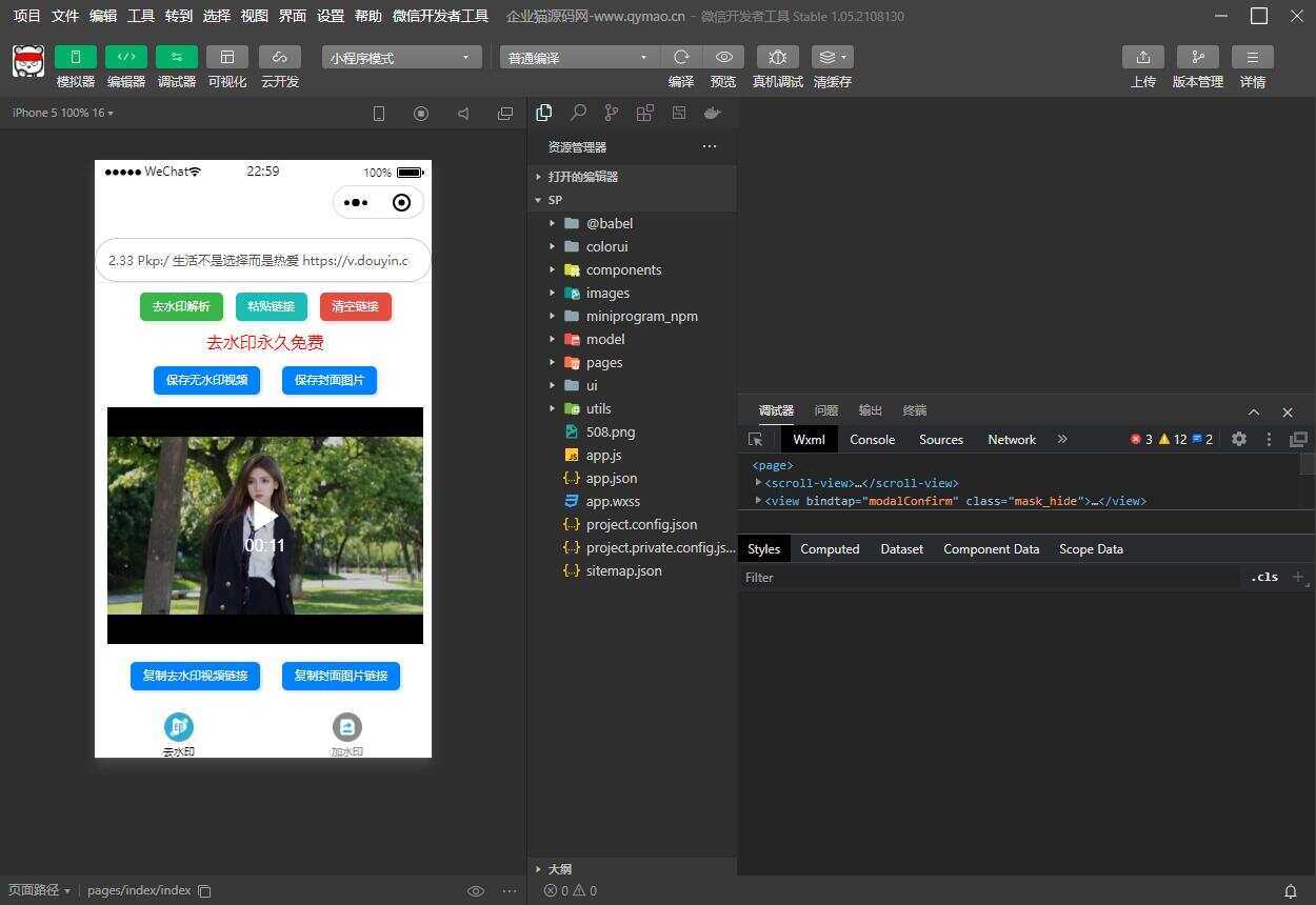 短视频去水印和图片加水印生成微信小程序源码 - Hope`Chen资源网