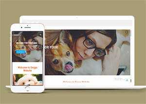 宠物美容服务公司网站模板源码 - Hope`Chen资源网