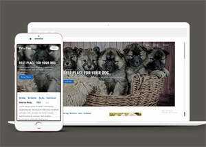 关于宠物狗销售网站模板下载 - Hope`Chen资源网