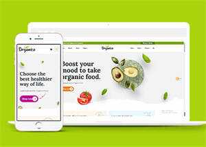 蔬菜水果商店网站响应式模板下载 - Hope`Chen资源网