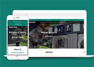 响应式滚筒洗衣机企业网站模板 - Hope`Chen资源网