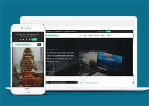 响应式财务管理公司网站模板 - Hope`Chen资源网