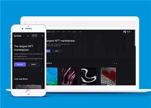 宽屏数字市场交易平台网站模板下载 - Hope`Chen资源网