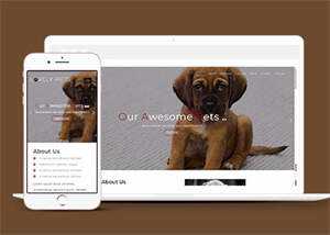 简洁宠物饲养单页HTML模板下载 - Hope`Chen资源网