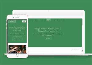 响应式多肉植物种植网站模板下载 - Hope`Chen资源网