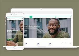 成人高等学校招生网站模板源码 - Hope`Chen资源网