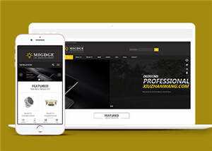 简洁响应式灯具公司前端模板下载 - Hope`Chen资源网