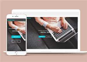 简洁数字团队服务展示响应式网页模板下载 - Hope`Chen资源网