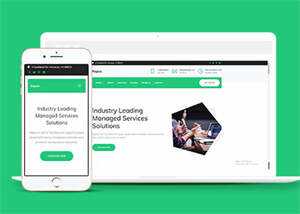 互联网增值服务公司网站模板下载 - Hope`Chen资源网