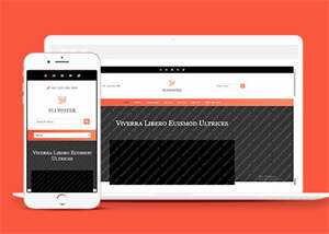 响应式橘红色企业公司网站模板 - Hope`Chen资源网