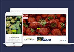 响应式果蔬大棚企业源码模板下载 - Hope`Chen资源网