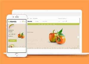 简洁蔬菜水果超市电商网站模板源码下载 - Hope`Chen资源网