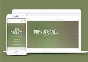 简洁绿色主题公司网站模板下载 - Hope`Chen资源网