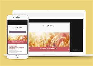 宽屏粉色个人博客主页网站模板 - Hope`Chen资源网