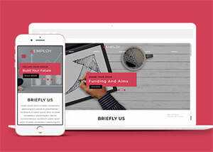 网站运营数据指标网站模板下载 - Hope`Chen资源网