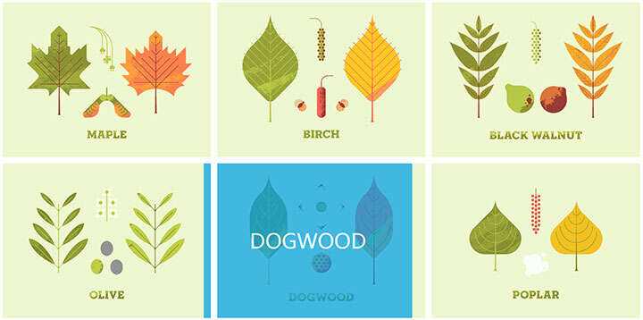 jQuery列表图片鼠标悬停感知方向遮罩层移动特效 - Hope`Chen资源网