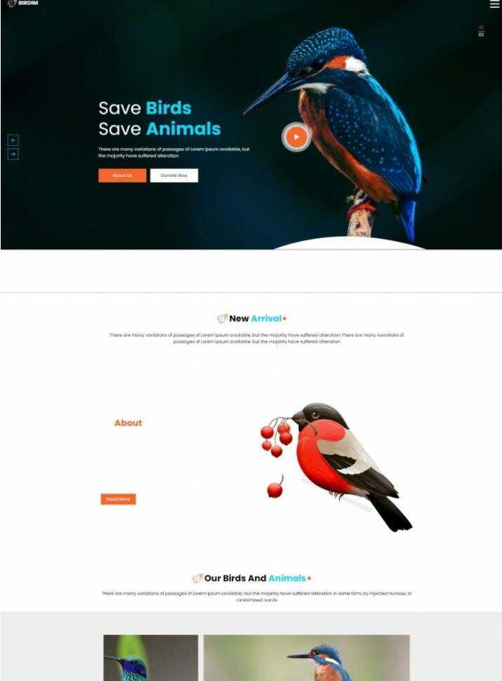 拯救鸟类拯救动物HTML5网站模板 - Hope`Chen资源网