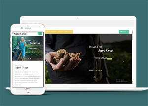 足球运动直播网站响应式模板 - Hope`Chen资源网