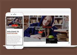 简洁图书馆在线书城网站模板 - Hope`Chen资源网