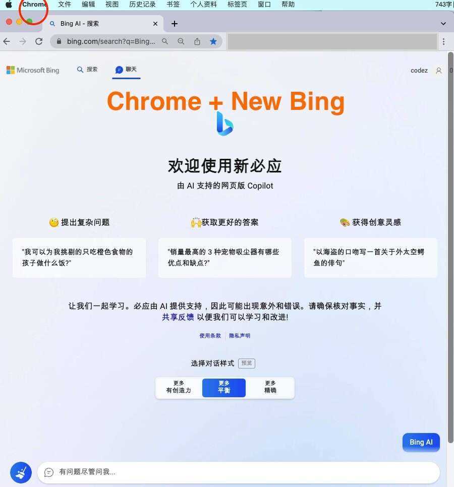 微软New Bing完美聊天机器人源码，支持ChatGPT提示词 国内可用，基本兼容微软 Bing AI 所有功能 - Hope`Chen资源网