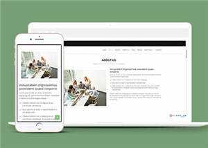 网页设计优化机构响应式网页模板 - Hope`Chen资源网