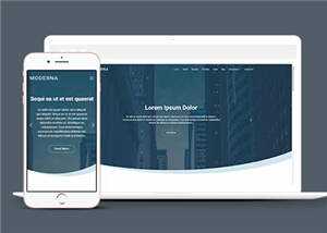 企业业务案例展示响应式网页模板下载 - Hope`Chen资源网