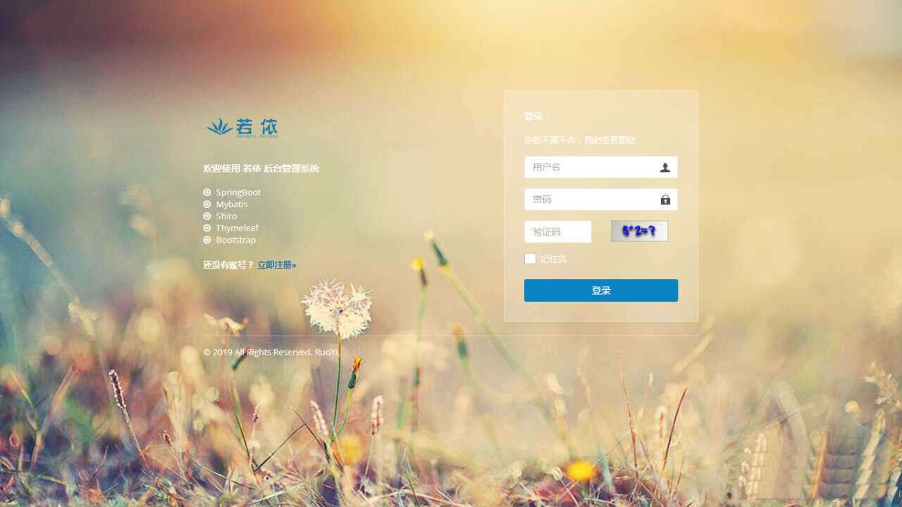 图片[4] - RuoYi若依管理系统最新版 基于SpringBoot的权限管理系统 - Hope`Chen资源网