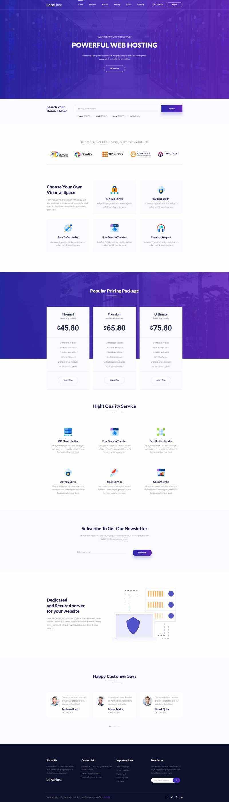 紫色的虚拟主机域名托管服务网站html模板 - Hope`Chen资源网