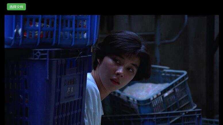 H5视频播放器源码_支持本地选择视频播放，带截图功能 - Hope`Chen资源网