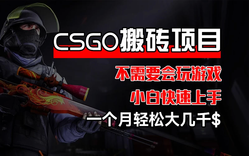 CSGO 装备搬砖项目，操作简单，不需要会玩游戏，小白也能快速上手，一个月轻松大几千 - Hope`Chen资源网