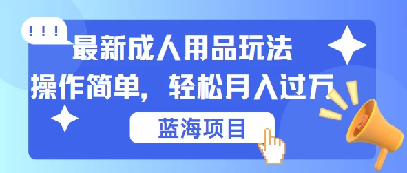 最新成人用品项目玩法，操作简单，蓝海项目轻松月入过万 - Hope`Chen资源网