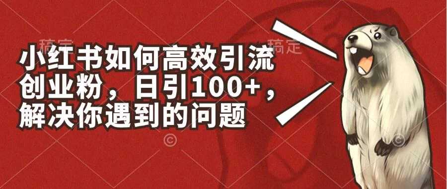 小红书如何高效引流创业粉，日引100+，解决你遇到的问题 - Hope`Chen资源网