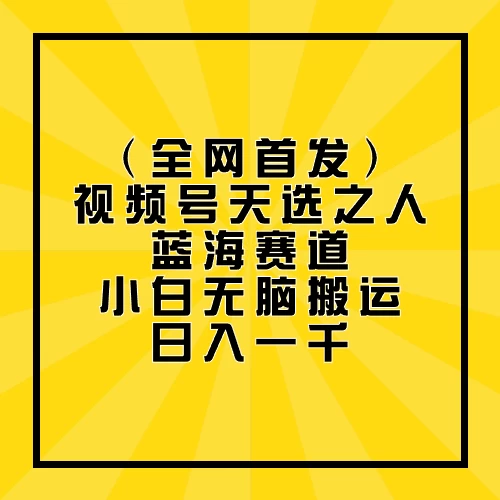全网首发，视频号天选之人蓝海赛道，小白无脑搬运日入一千 - Hope`Chen资源网