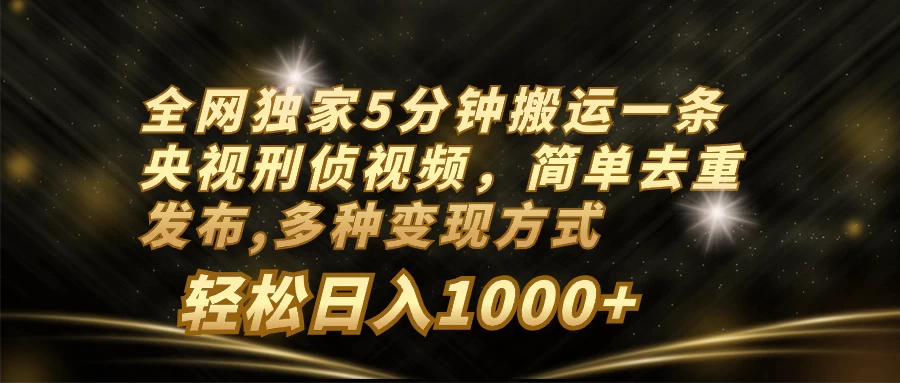 全网独家5分钟搬运一条央视刑侦视频，简单去重发布，多种变现方式，轻松日入1000+ - Hope`Chen资源网
