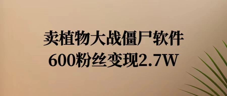 小红书怀旧游戏项目，卖游戏软件，600不到的粉丝变现2.7W - Hope`Chen资源网