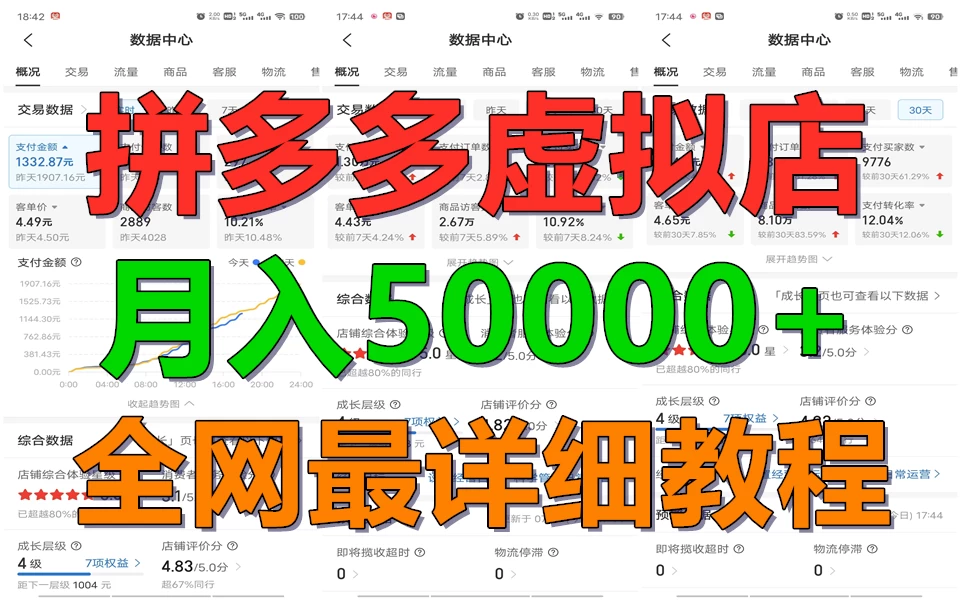 拼多多虚拟电商月入50000+你干你也行，暴利稳定长久，副业首选 - Hope`Chen资源网