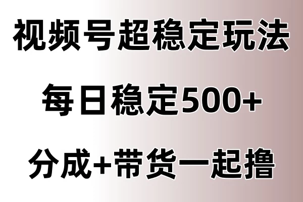 视频号超稳定赛道，长久不衰，单日稳定500+ - Hope`Chen资源网