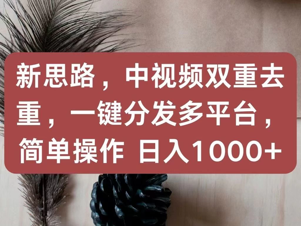新思路，中视频双重去重，一键分发多平台，简单操作，日入1000+！快来试试吧！ - Hope`Chen资源网