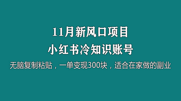 11 月新风口项目，小红书冷知识账号，无脑复制粘贴，一单变现 300 块，适合在家做的副业 - Hope`Chen资源网