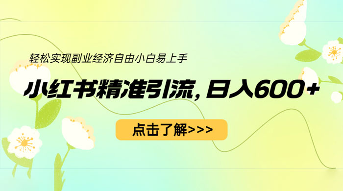 小红书精准引流：轻松实现副业经济自由（教程 + 1153G 资源） - Hope`Chen资源网