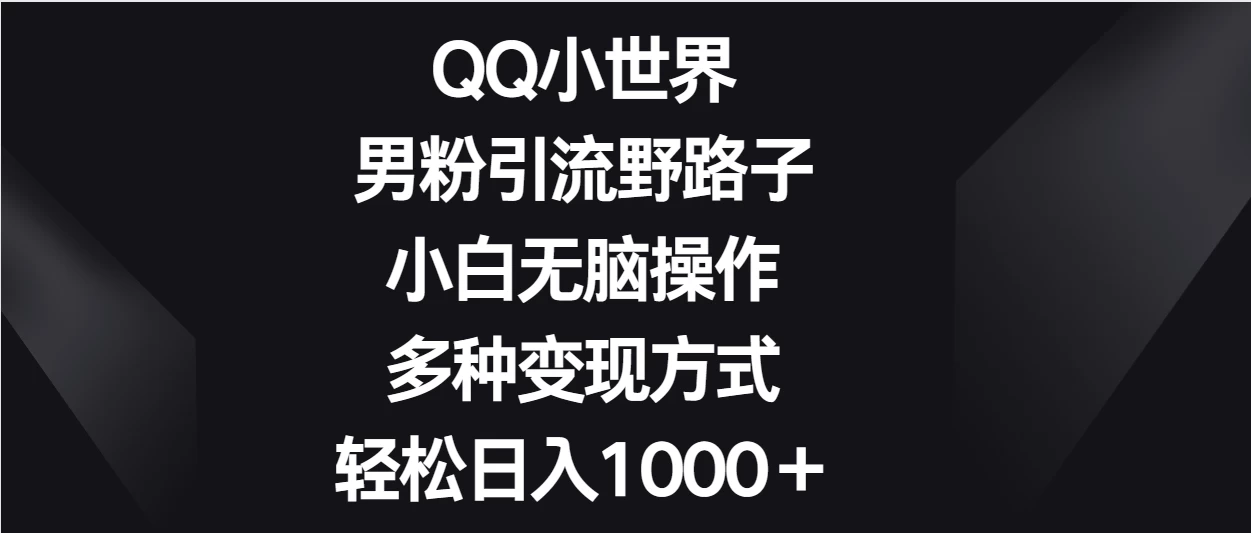 QQ小世界男粉引流野路子，小白无脑操作，多种变现方式轻松日入1000＋ - Hope`Chen资源网
