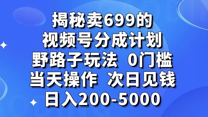 揭秘卖 699 的视频号分成计划野路子玩法，日入 200-5000，0 门槛，当天操作，次日见钱 - Hope`Chen资源网