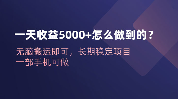 一天收益 5000+ 怎么做到的？无脑搬运即可，长期稳定项目，一部手机可做 - Hope`Chen资源网
