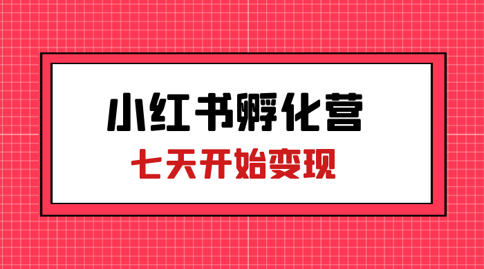 价值 2000+ 的小红书孵化营项目，超级大蓝海，七天即可开始变现，稳定月入 1W+ - Hope`Chen资源网