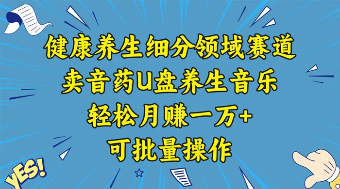 健康养生细分领域赛道，卖音药U盘养生音乐，轻松月赚一万+，可批量操作 - Hope`Chen资源网